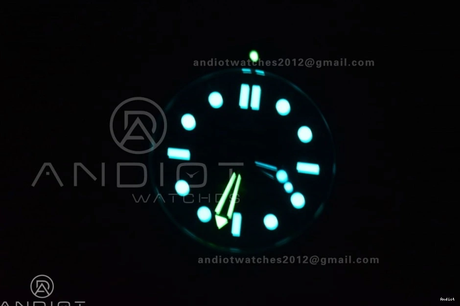 On Diver Black 300M SS Dial Seamaster Bracelet Black VSF 1:1 Best Ceramic A8800 Edition 1114